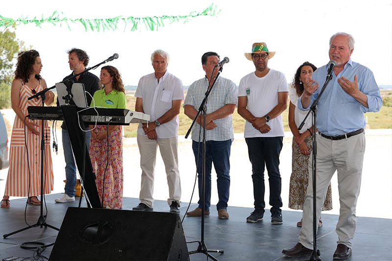 Piquenicão2