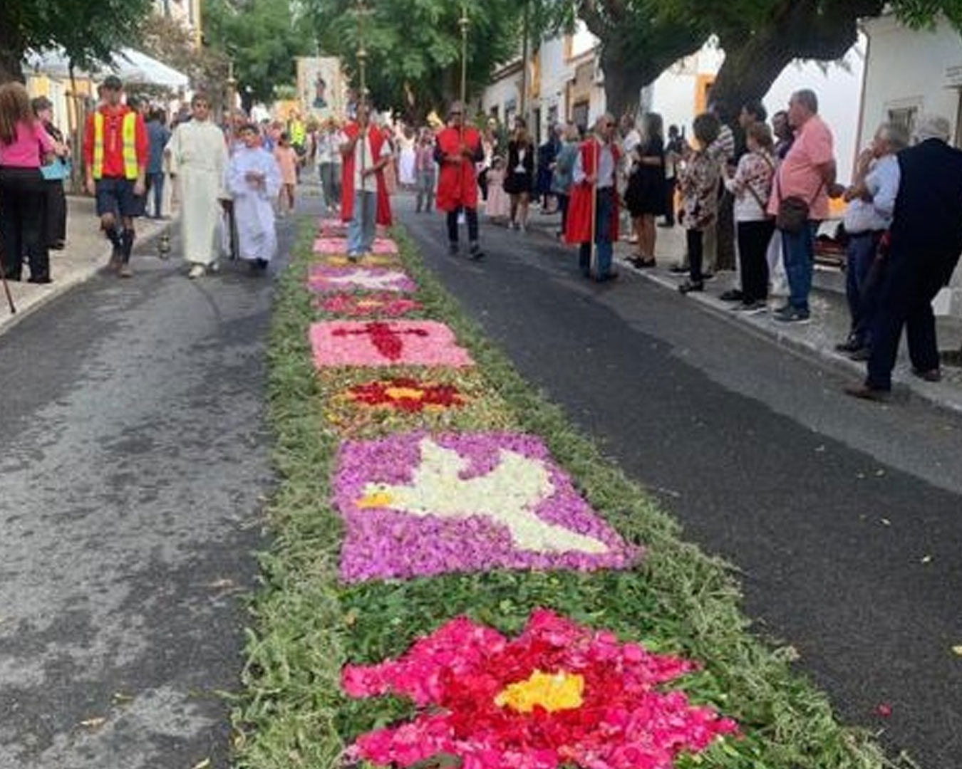 Senhora-da-Saúde1