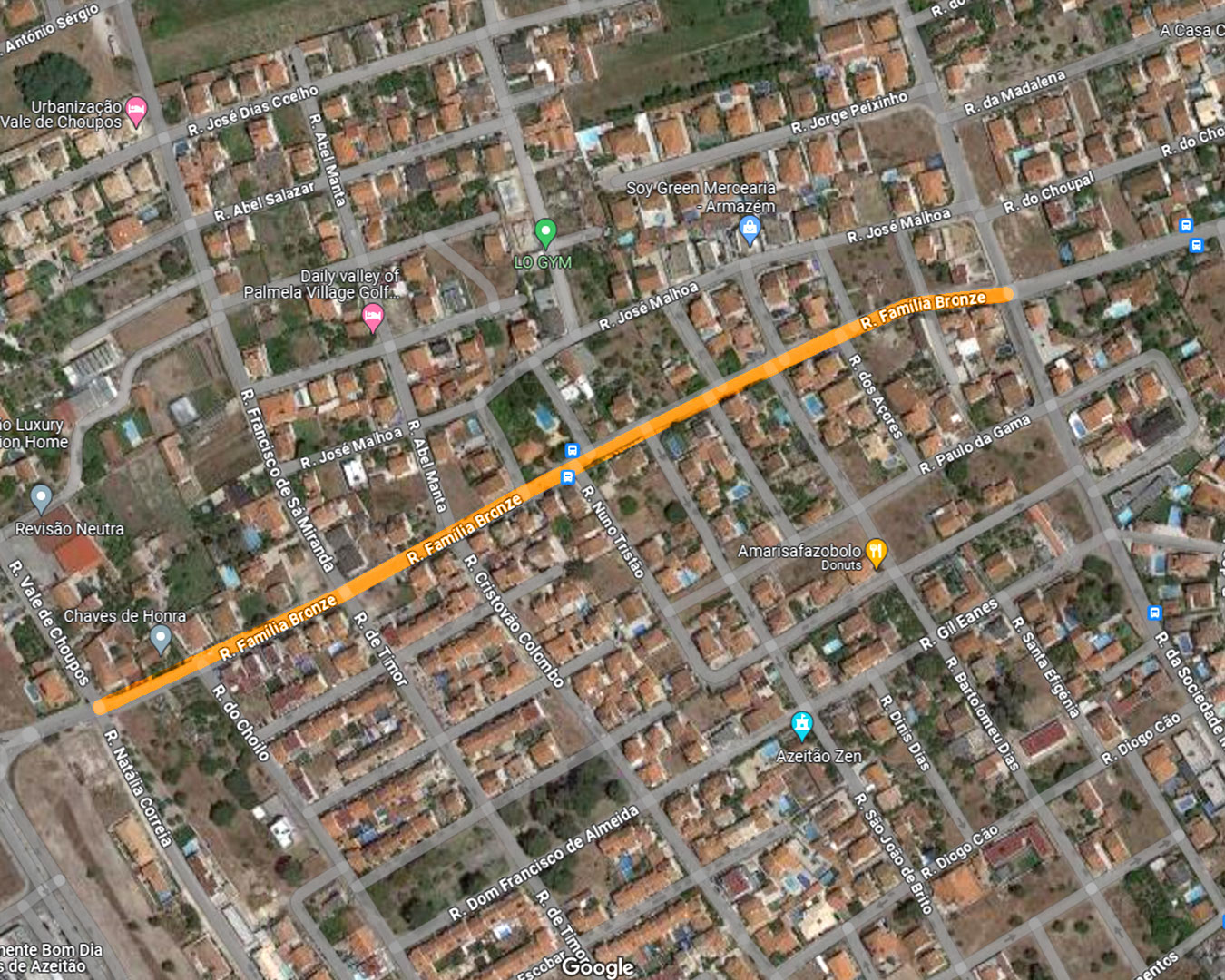 rua-bronze
