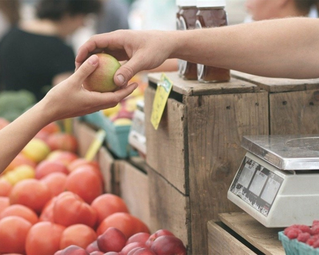Mercado-de-Brejos
