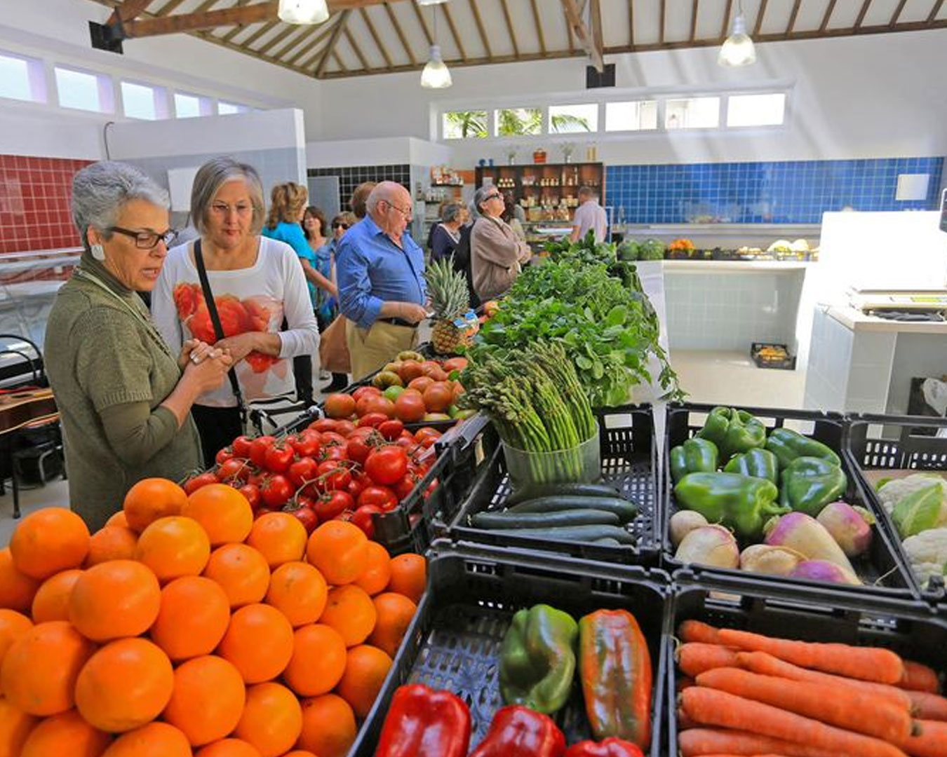 novo-Mercado