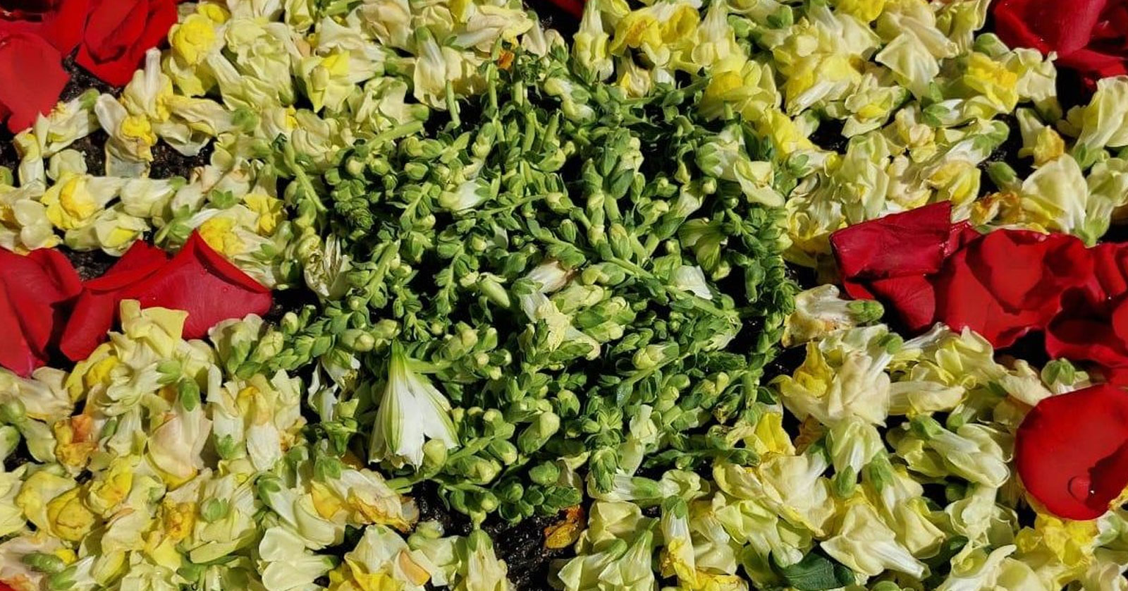 Vendas-de-Azeitão-floriu1