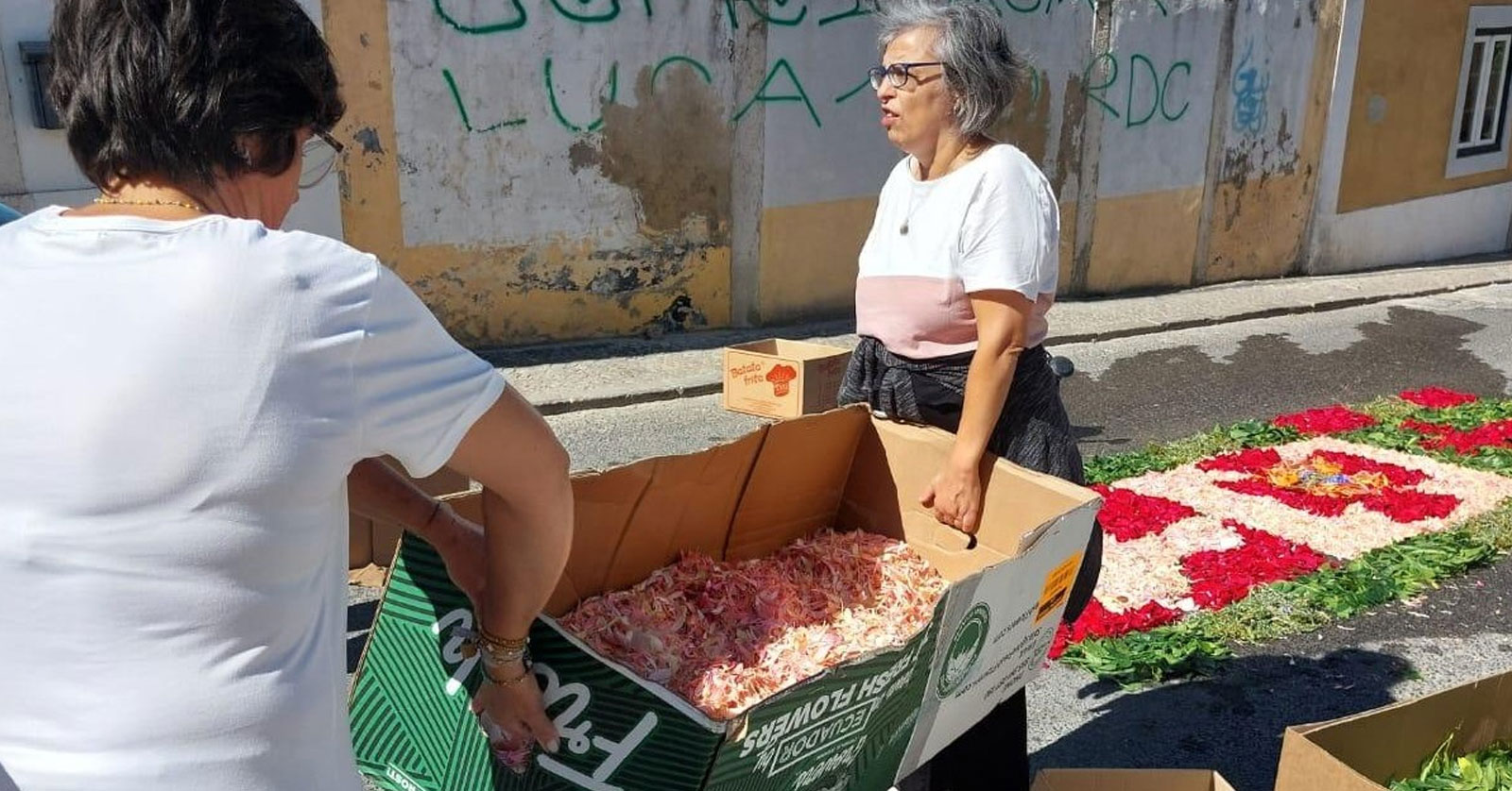 Vendas-de-Azeitão-floriu5