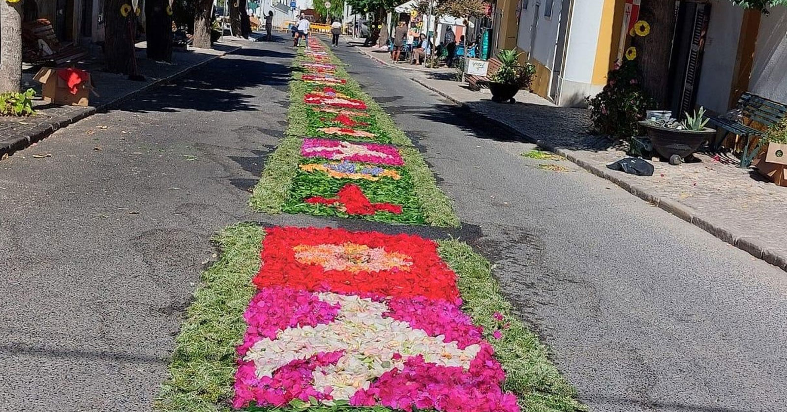 Vendas-de-Azeitão-floriu6