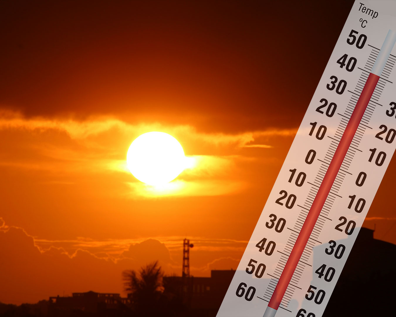 calor