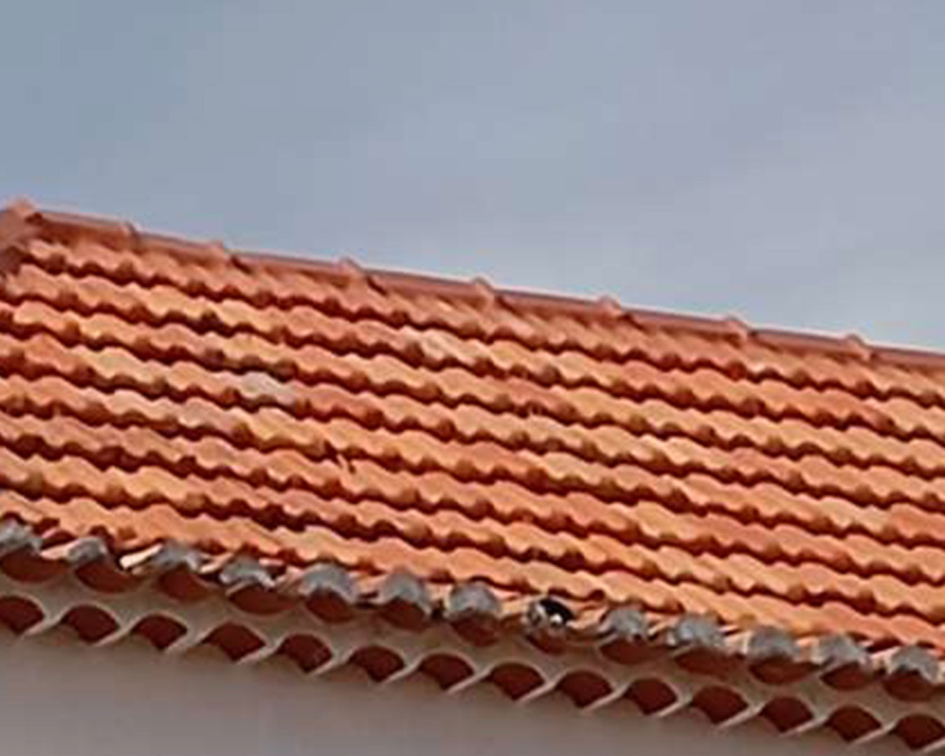 UNIVERSIDADE-SÉNIOR4