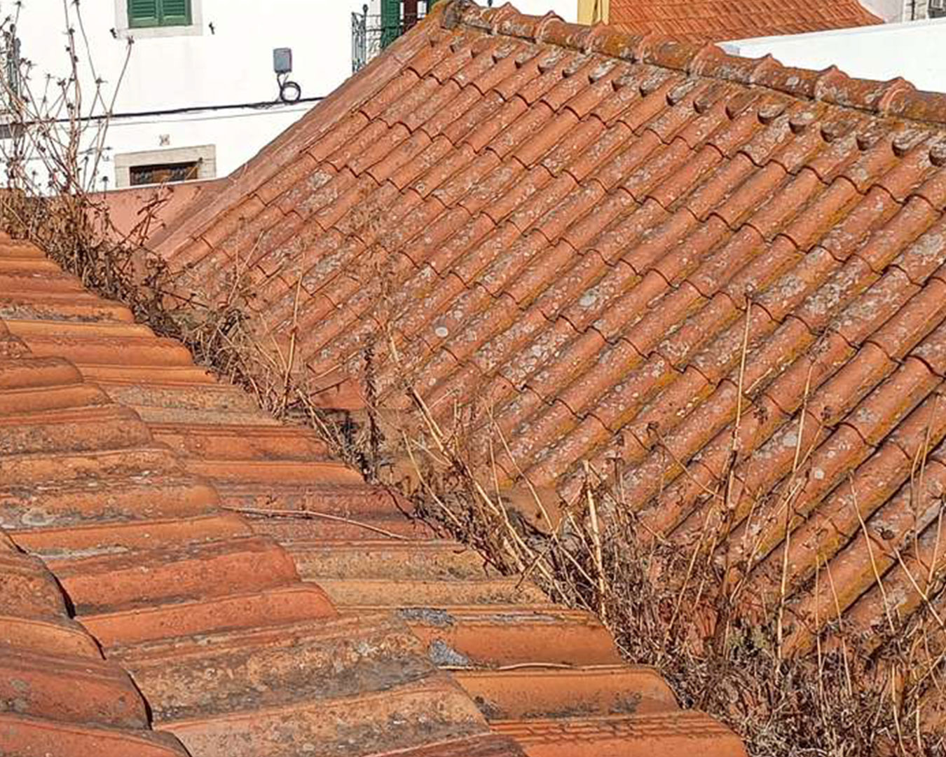 UNIVERSIDADE-SÉNIOR5