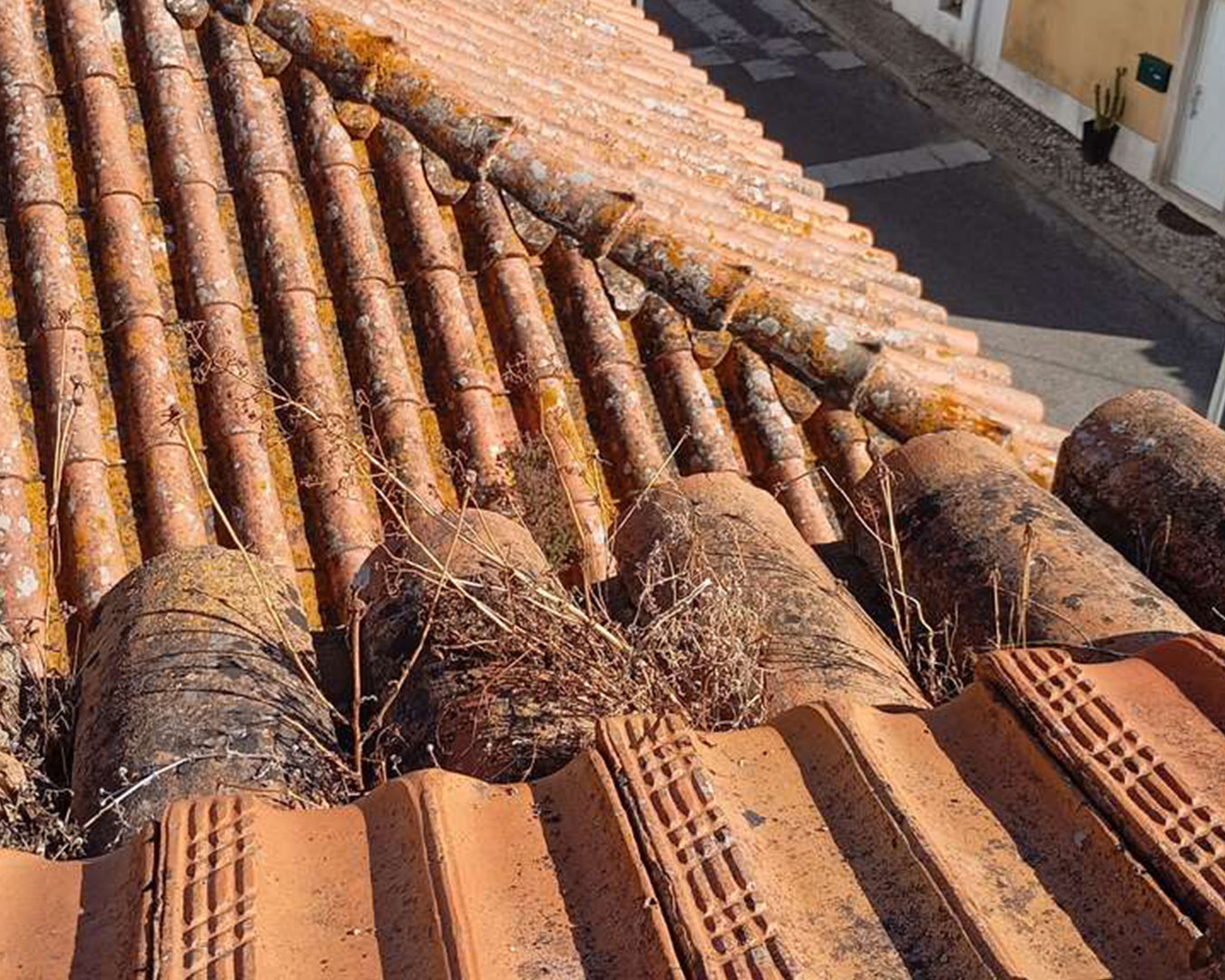 UNIVERSIDADE-SÉNIOR6