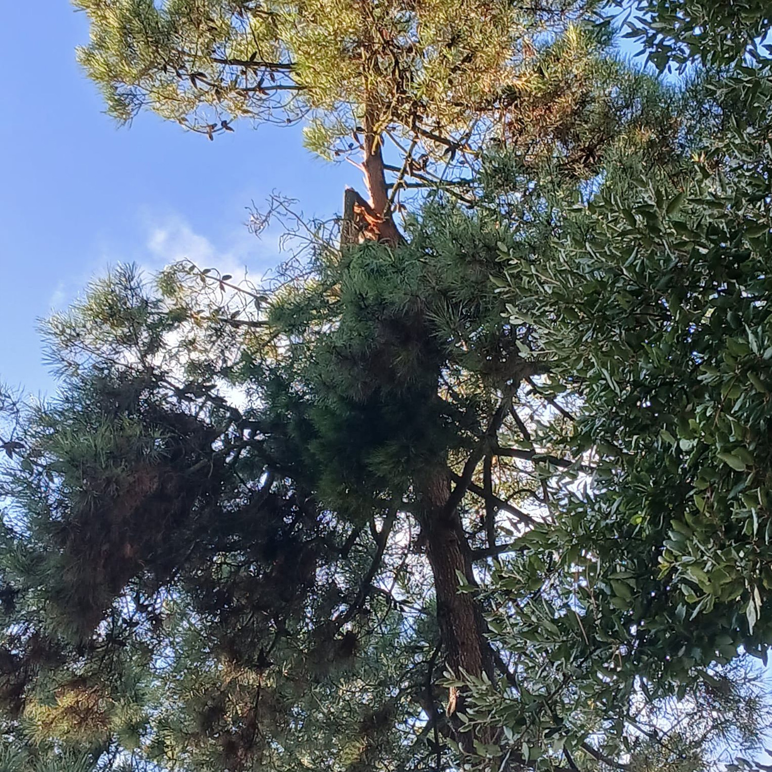 Retomamos-a-normalidade2