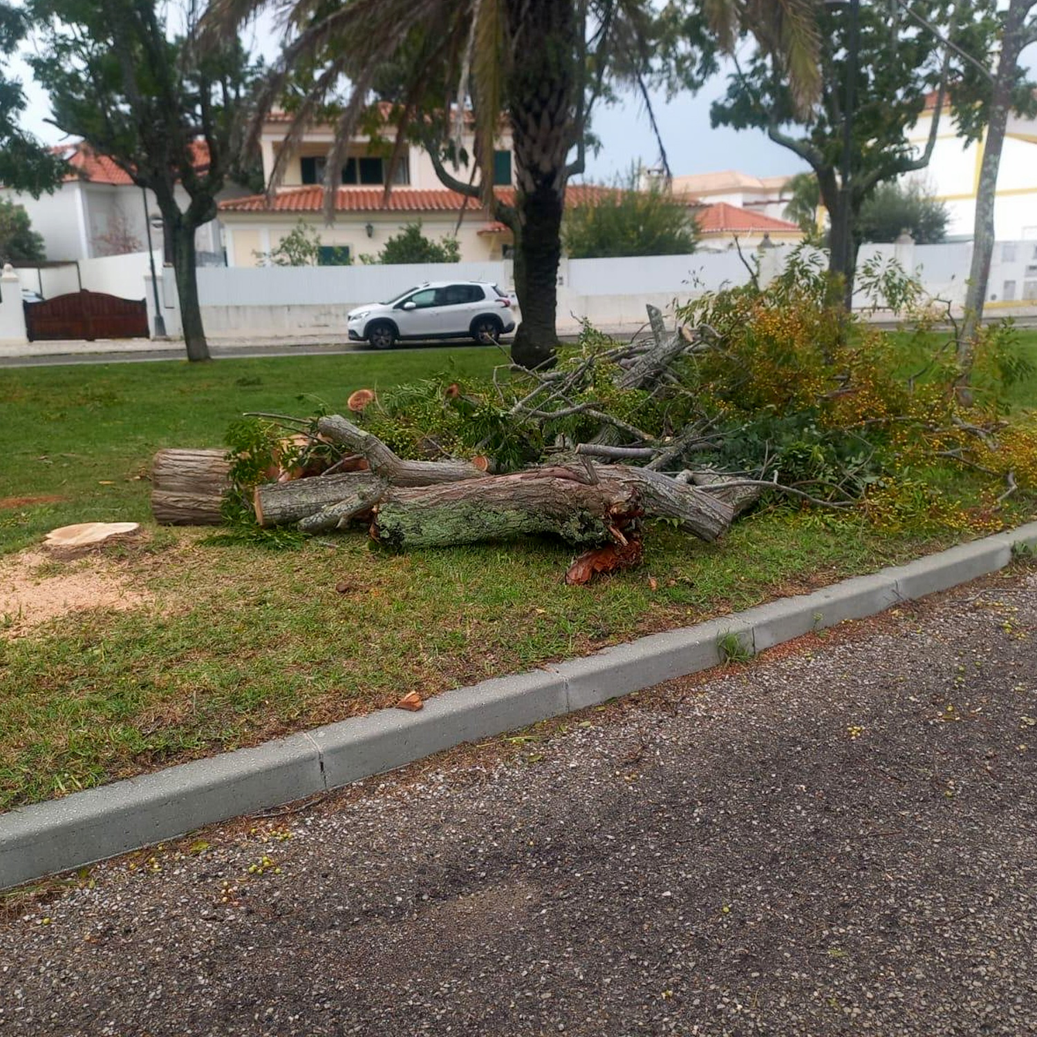 Retomamos-a-normalidade4