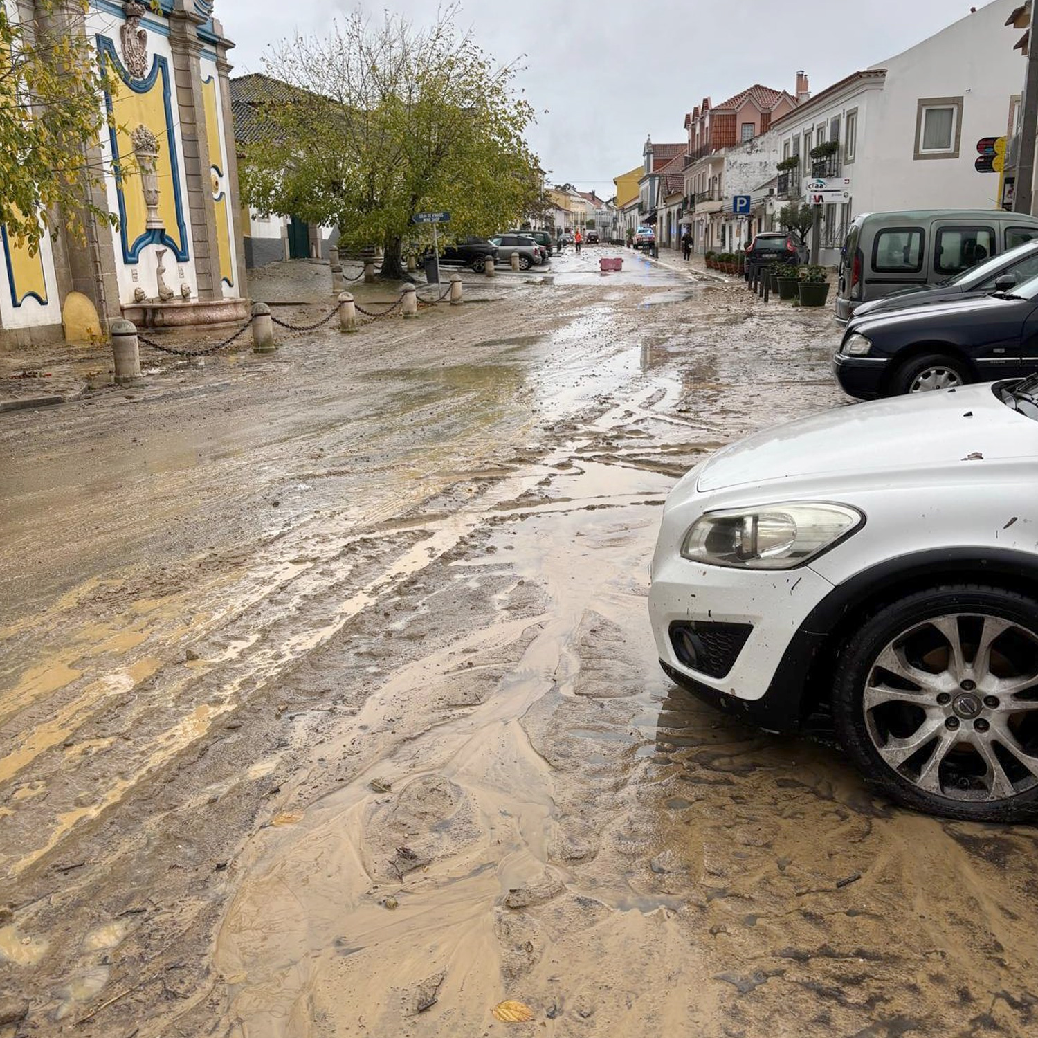 Retomamos-a-normalidade6