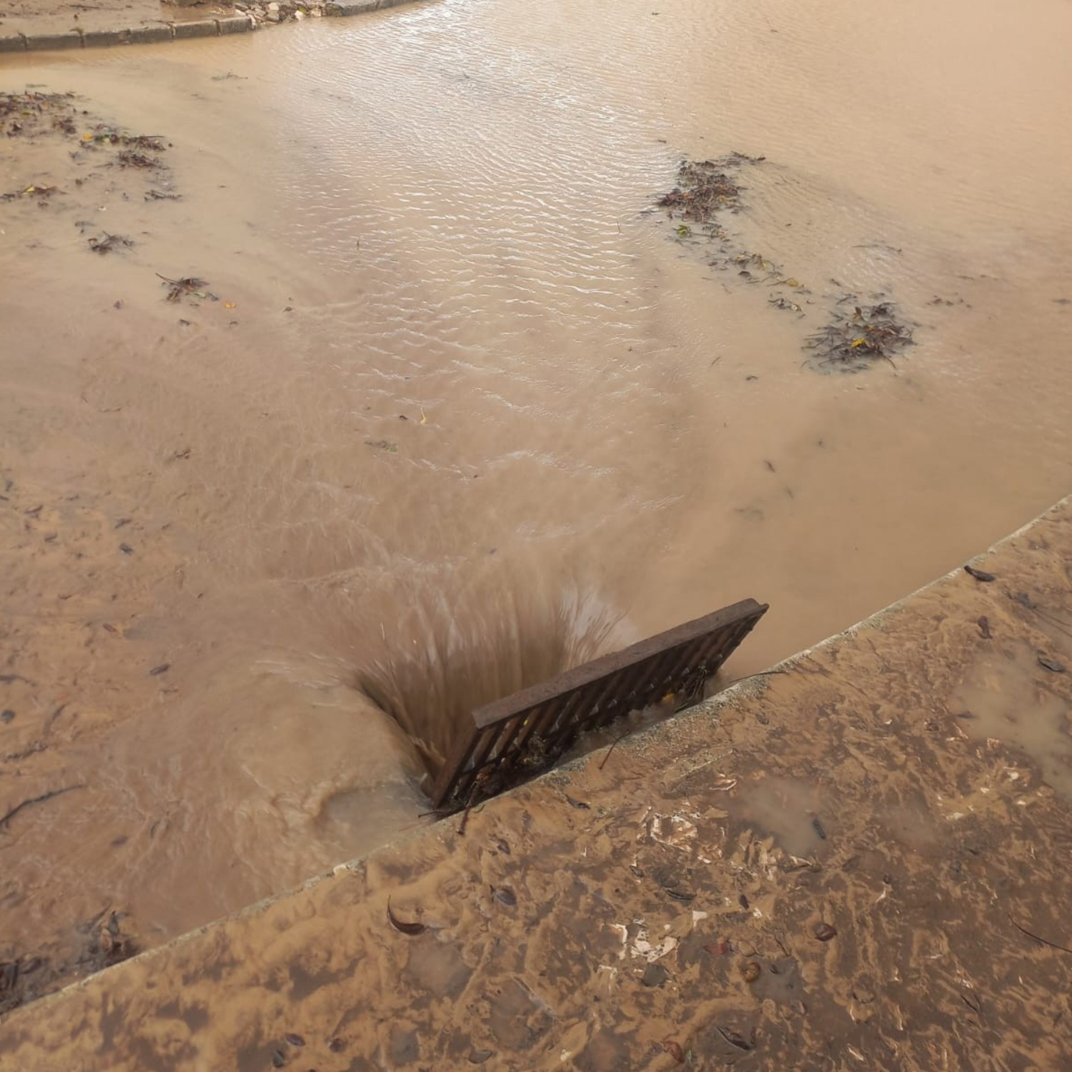 Retomamos-a-normalidade7