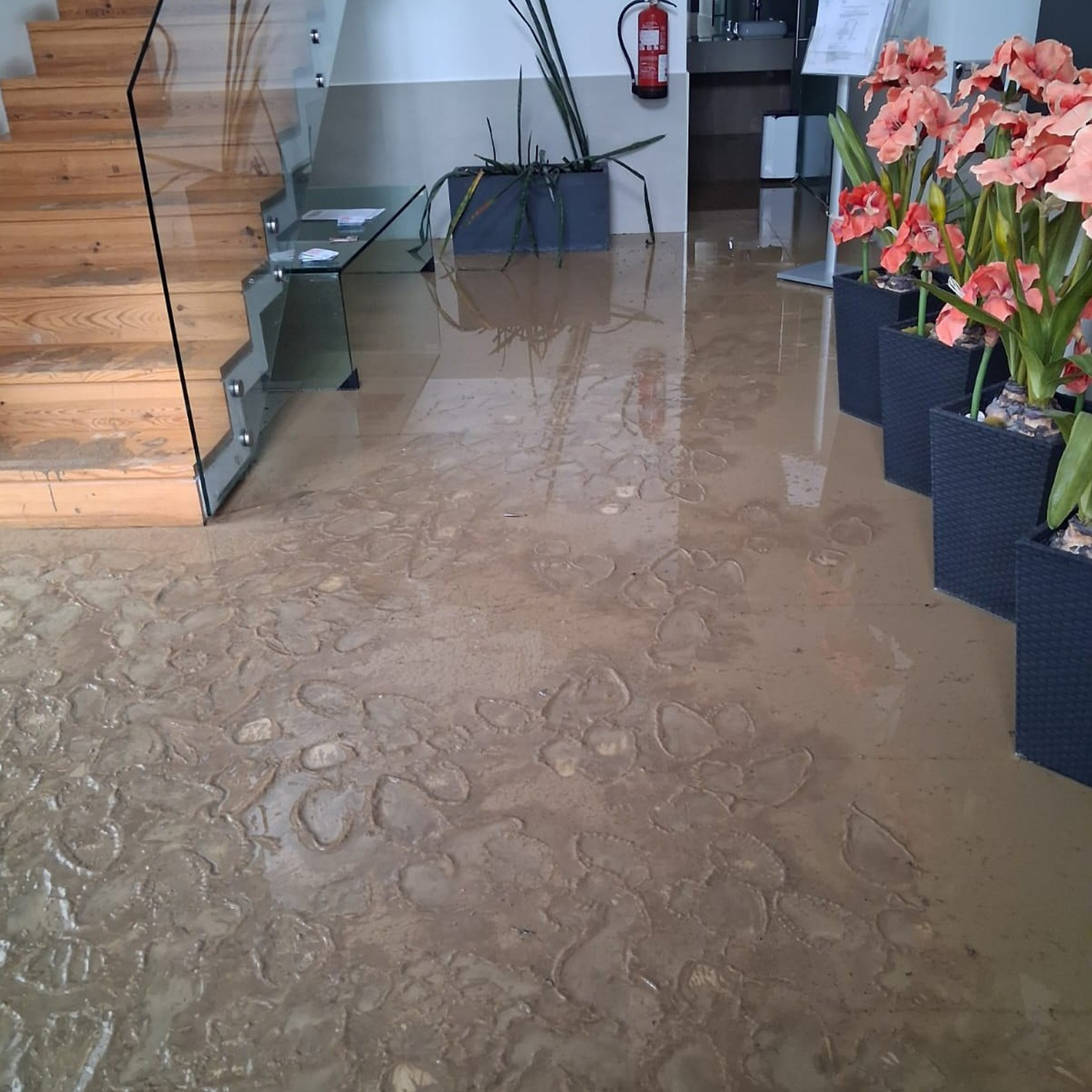 Retomamos-a-normalidade8