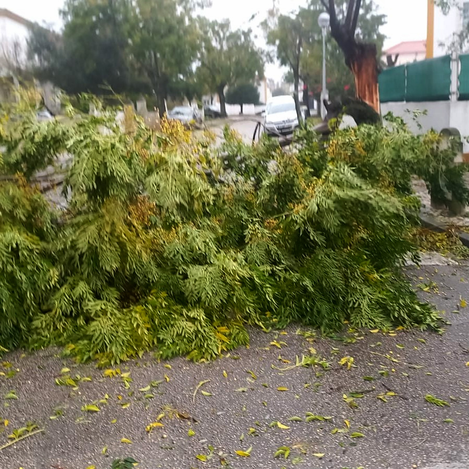 Retomamos-a-normalidade9