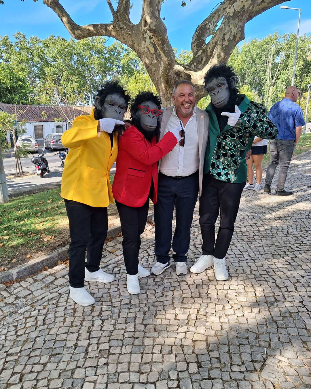 domingao-5