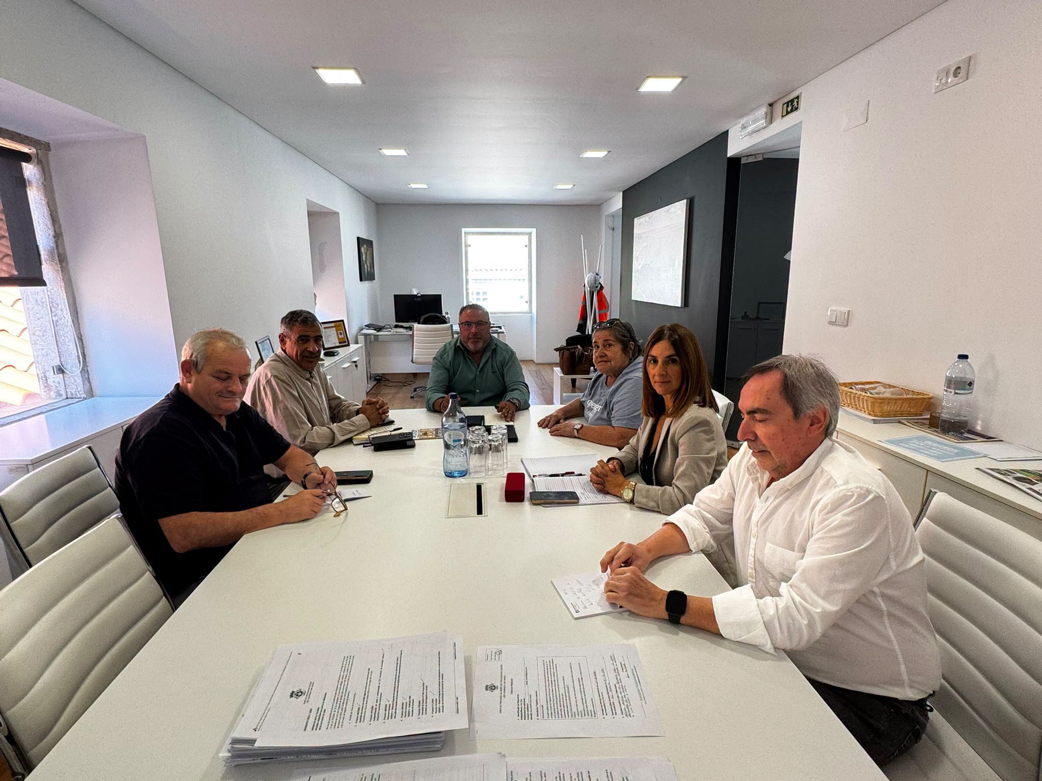 Executivo