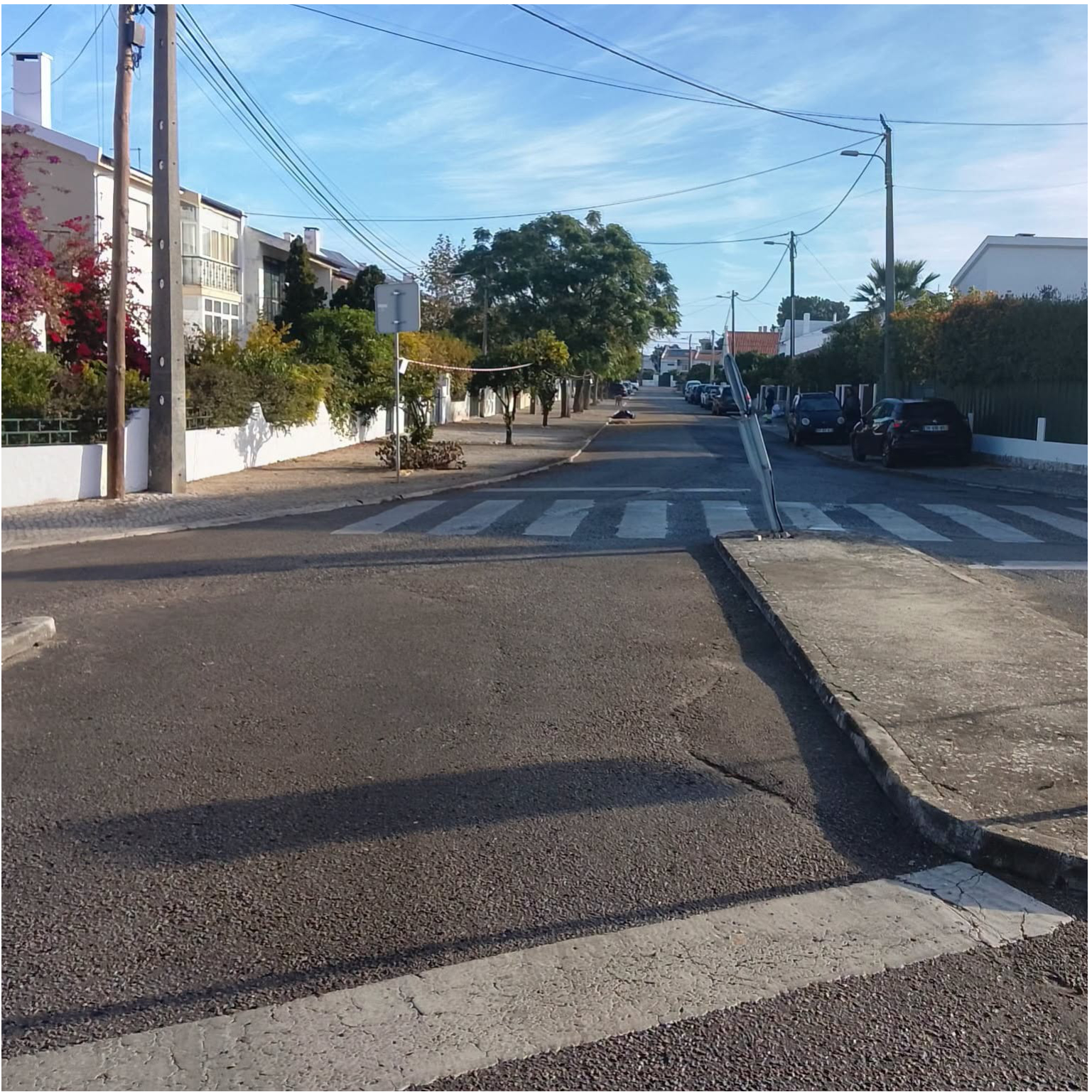 trabalhos de limpeza10