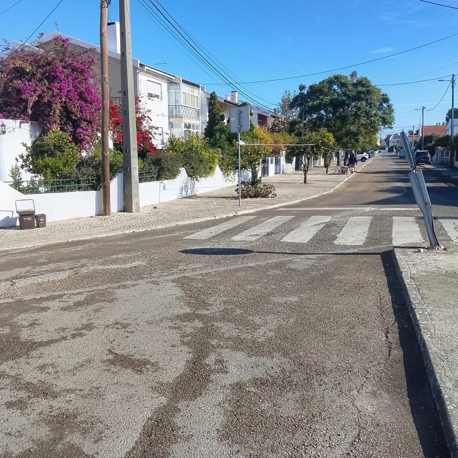 trabalhos de limpeza4